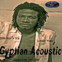 Gyptian en acoustique