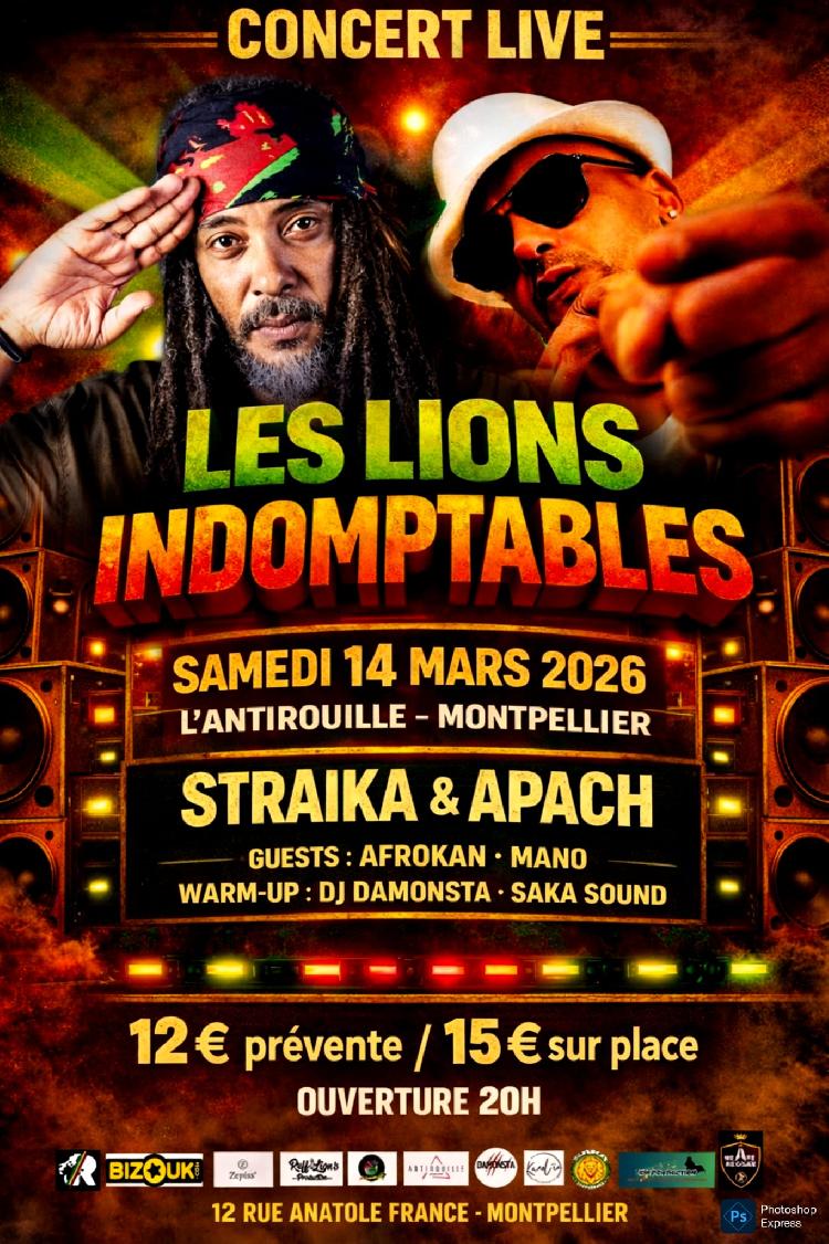 Les Lions Indomptables 