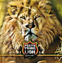 Positiv Young Lion