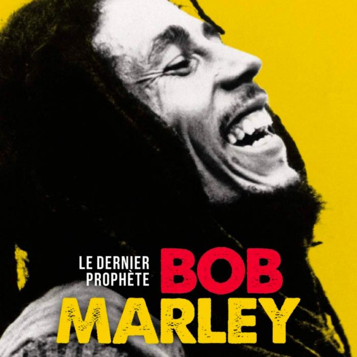 Interview Bob Marley avec Francis Dordor