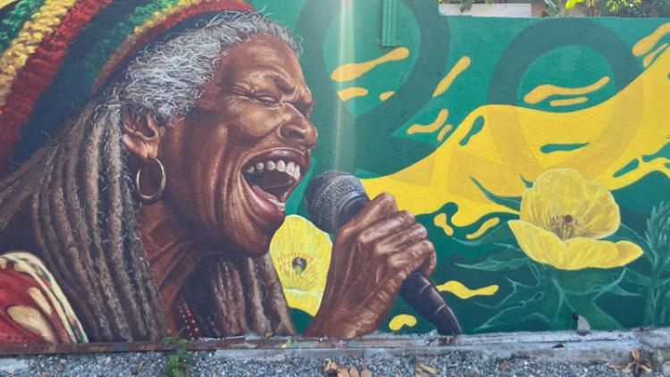 United For Jamaica, mission février 2026