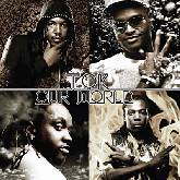 TOK Our World