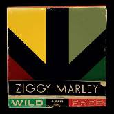 Ziggy Marley Wild and Free