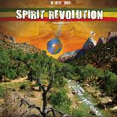 Spirit Revolution - Time has come