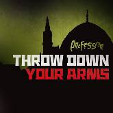 Professor 'Throw down your arms'