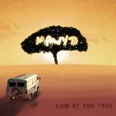 Mawyd 'Look at the tree'