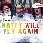 Natty Will Fly Again