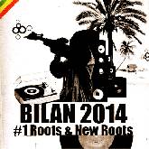 Bilan 2014 #1 Roots & New Roots