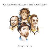 Christophe Rigaud : Sounds Of Life