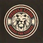 Pungle Lions - Round The Corner