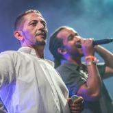 Big Reggae Festival 2016