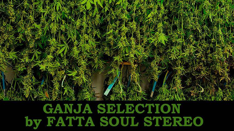 Ganja Selection by Fatta Soul Stereo