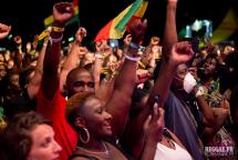 Sun Ska, No Logo, Summer Vibration : A l'année prochaine