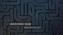 Weeding Dub de retour en solo avec l'excellent 'Where We Come From'