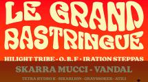 Le Grand Bastringue : belle prog reggae dub à Cluny les 14 et 15 juin