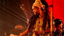 Guide des festivals reggae : JUILLET 2026