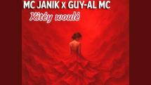 Straika D X Guy Al Mc : 'Réflexe'