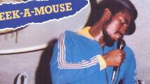 Morceau du jour : Wa Do Dem de Eek-A-Mouse