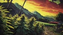 Sacrament Riddim par Irie Ites et Riddim Factory 