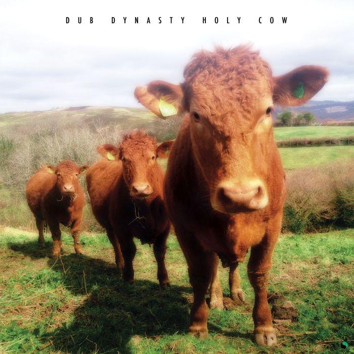 Dub Dynasty : nouvel album 'Holy Cow'