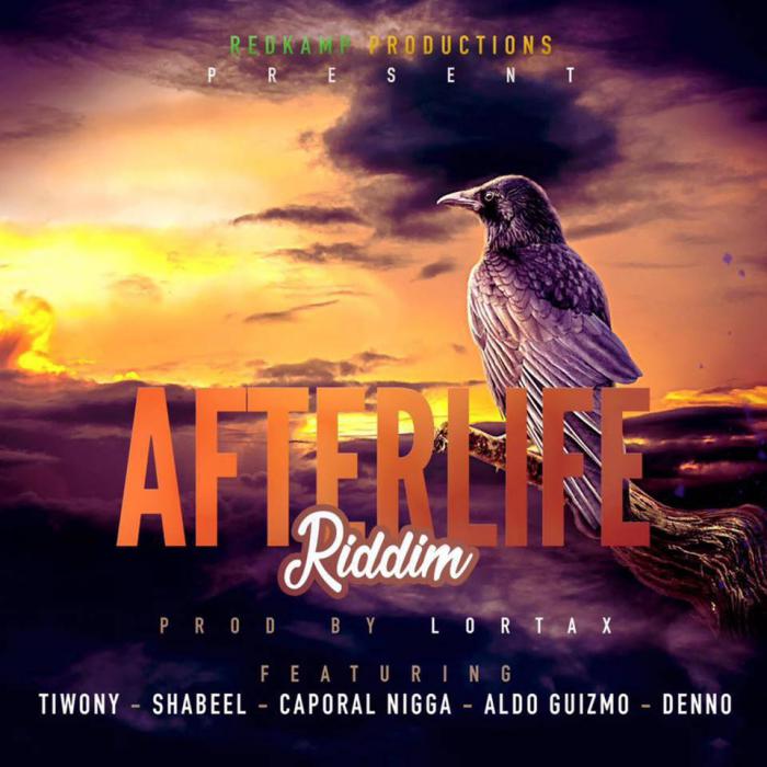 After Life Riddim 