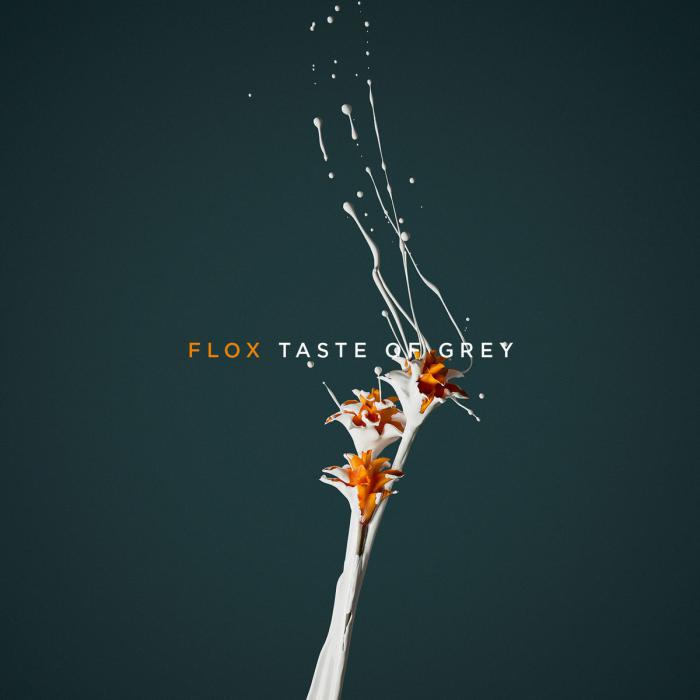 Flox : nouveal album 'Taste of Grey'