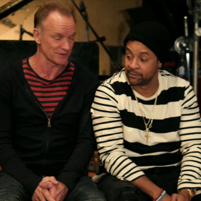 Shaggy collabore avec Sting !