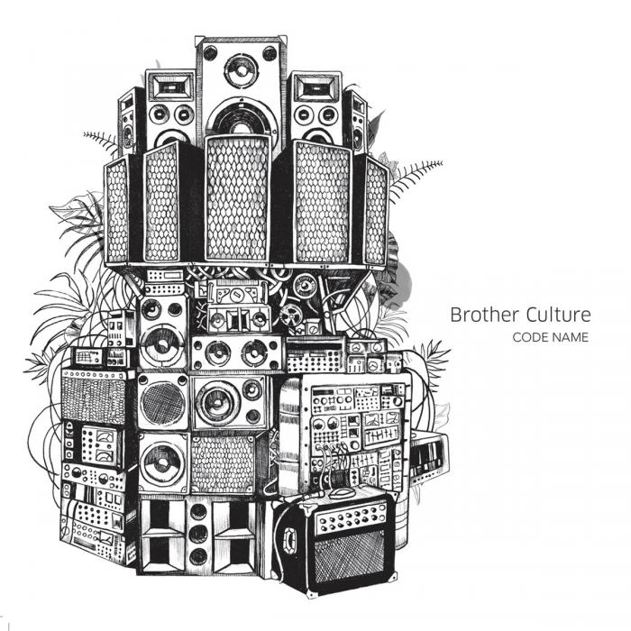 Brother Culture : 'Jump Up Pon It' avant l'album