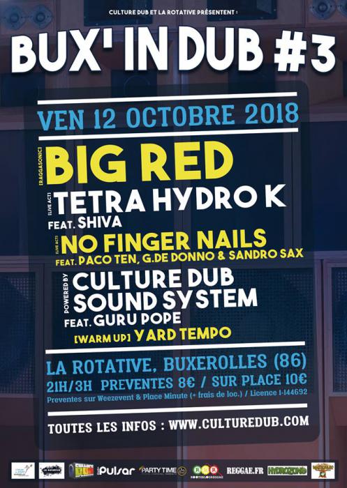Bux'In Dub #3 à Poitiers avec Big Red & Culture Dub