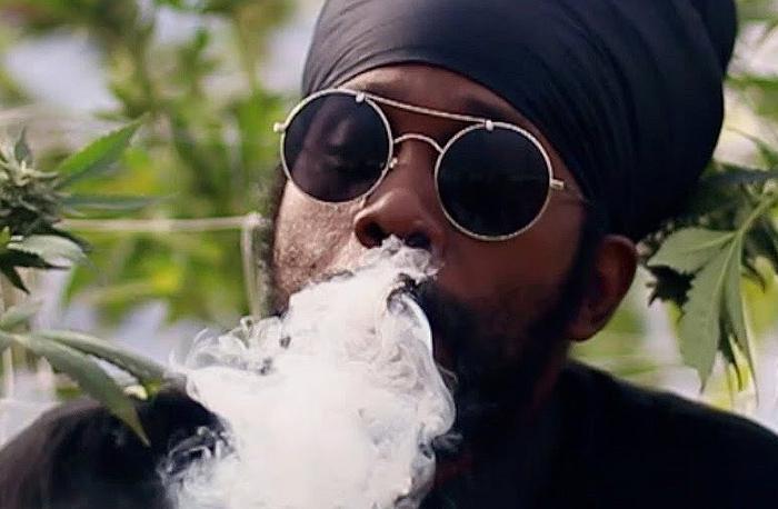 Ras Attitude : 'Healing Herb' le clip