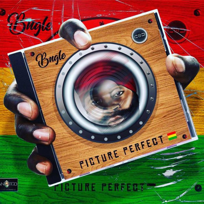 Bugle : 'Picture Perfect' l'album