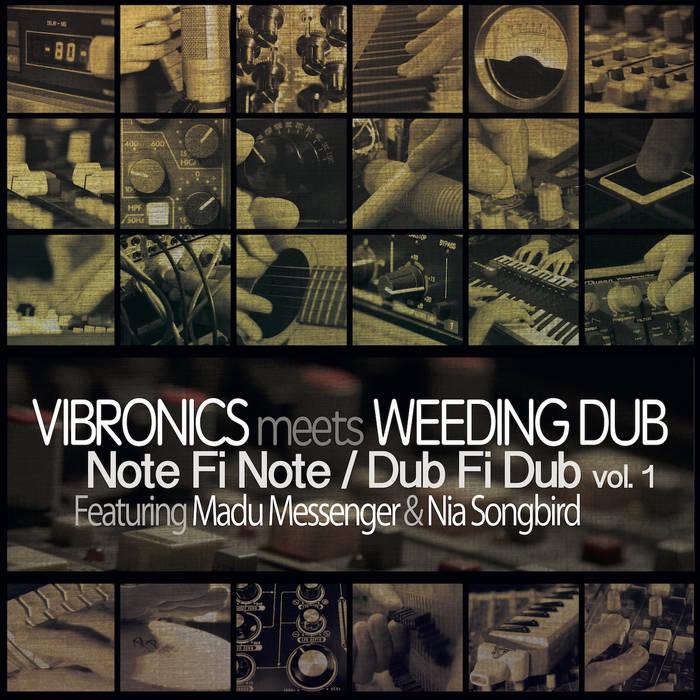 Vibronics Meets Weeding Dub