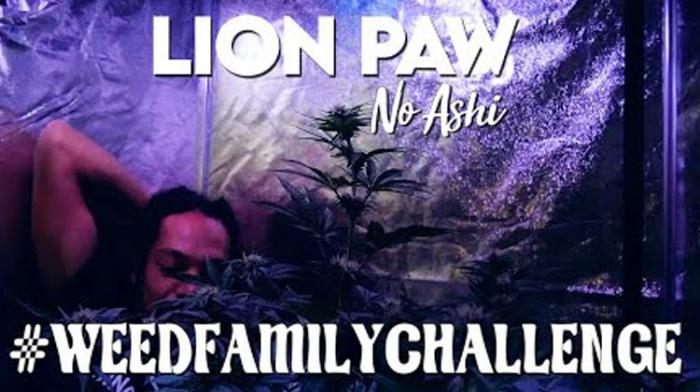 Lion Paw sur le Weed Family Challenge
