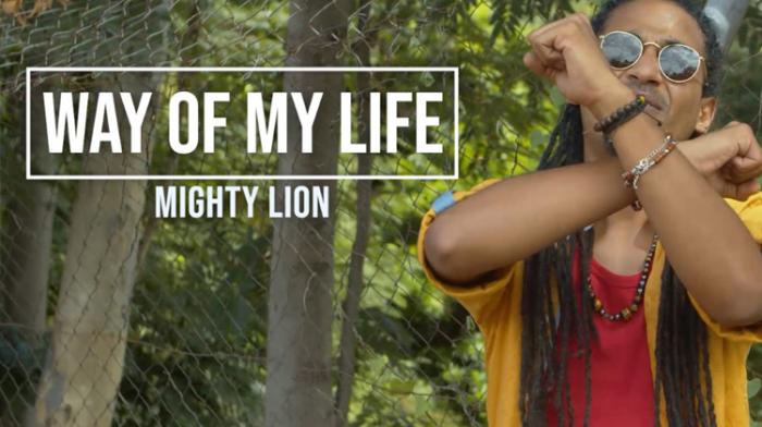 Le mode de vie de Mighty Lion 