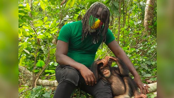 Tiken Jah Fakoly soutient la défense des chimpanzés de Côte d'Ivoire