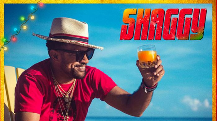 Célébrons Noël avec Shaggy !