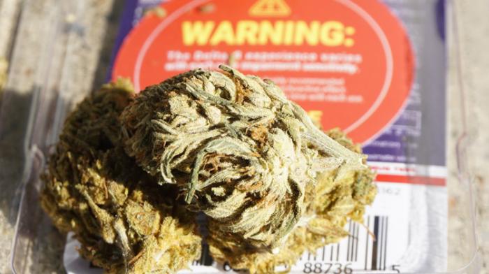 CBD : des pétitions fleurissent contre l'arrêté du 30 décembre
