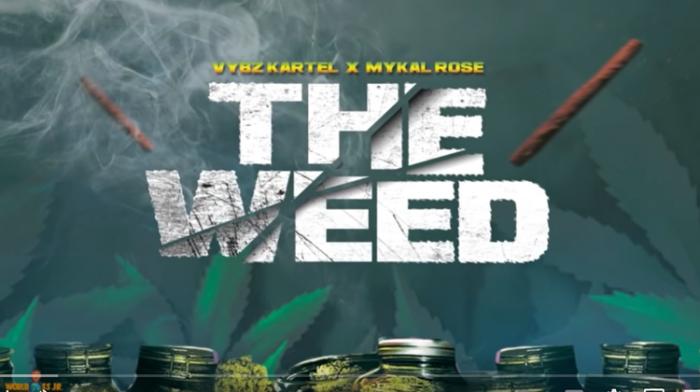 Vybz Kartel et Mykal Rose célèbrent la weed dans un duo