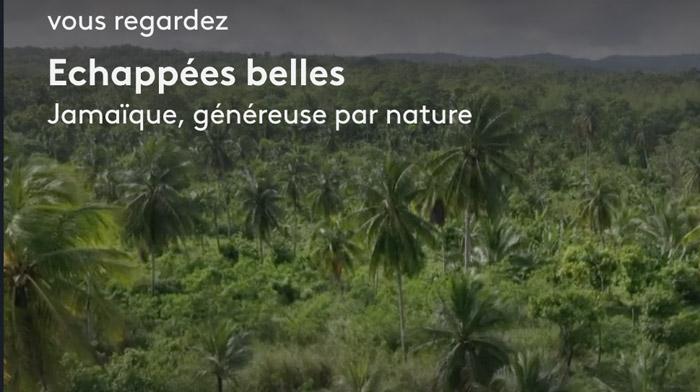 Échappées Belles à la Jamaïque : le replay dispo