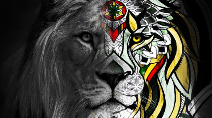 Jah Sun & House of Riddim proposent 'Return to Balance'