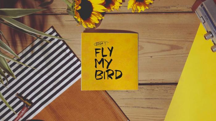 Soom T : 'Fly My Bird' avant l'album