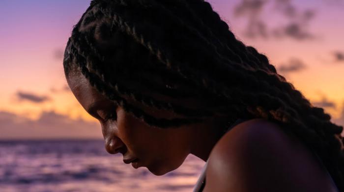 Meryl en concert vendredi au Festival de Marne