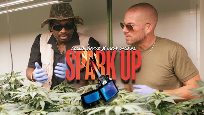 Collie Buddz et Busy Signal s'entendent sur 