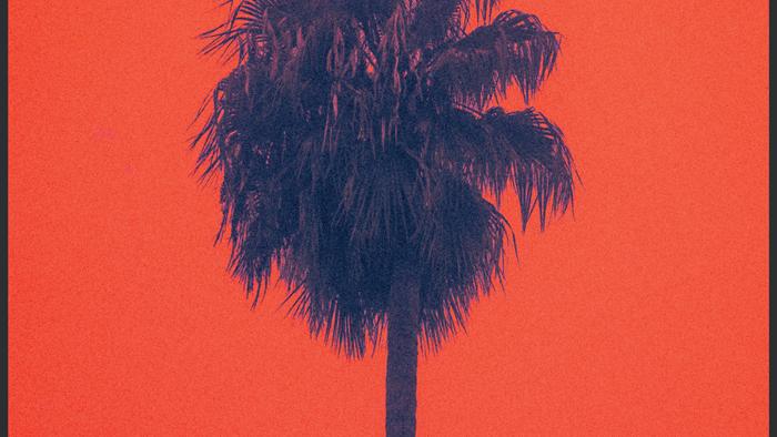 Roots Raid & Marina P livrent 'Deep Into The Vibe'