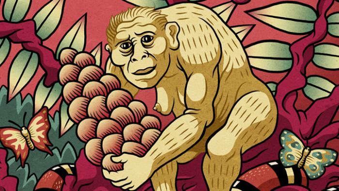 Sumac Dub : Le Jardin de Lucy Remix