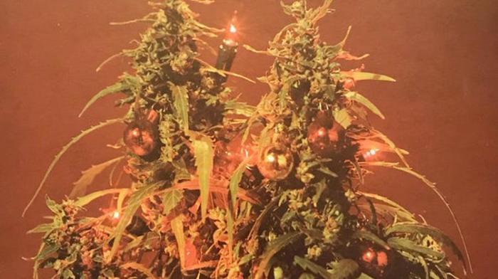 Plusieurs rendez-vous de Noël sur Reggae.fr Webradio