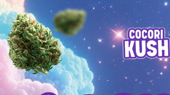 Cocorikush : + 10% offerts avec le code REGGAE10