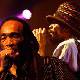 Israel Vibration de retour dans les bacs