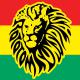 Les premiers noms du Rototom