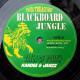 Blackboard Jungle : nouveau 45T ft. Kandee & Jahzz